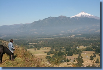 Rider overlooking trancura valley on a half day ride in Pucon, Chile